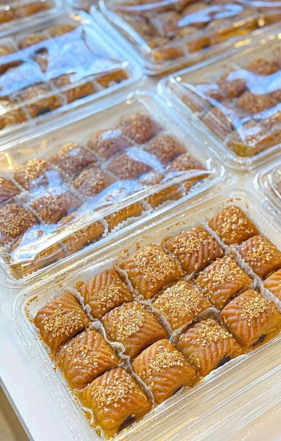 مقروض