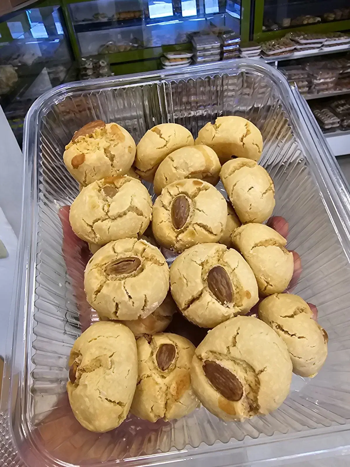 غريبة عادية