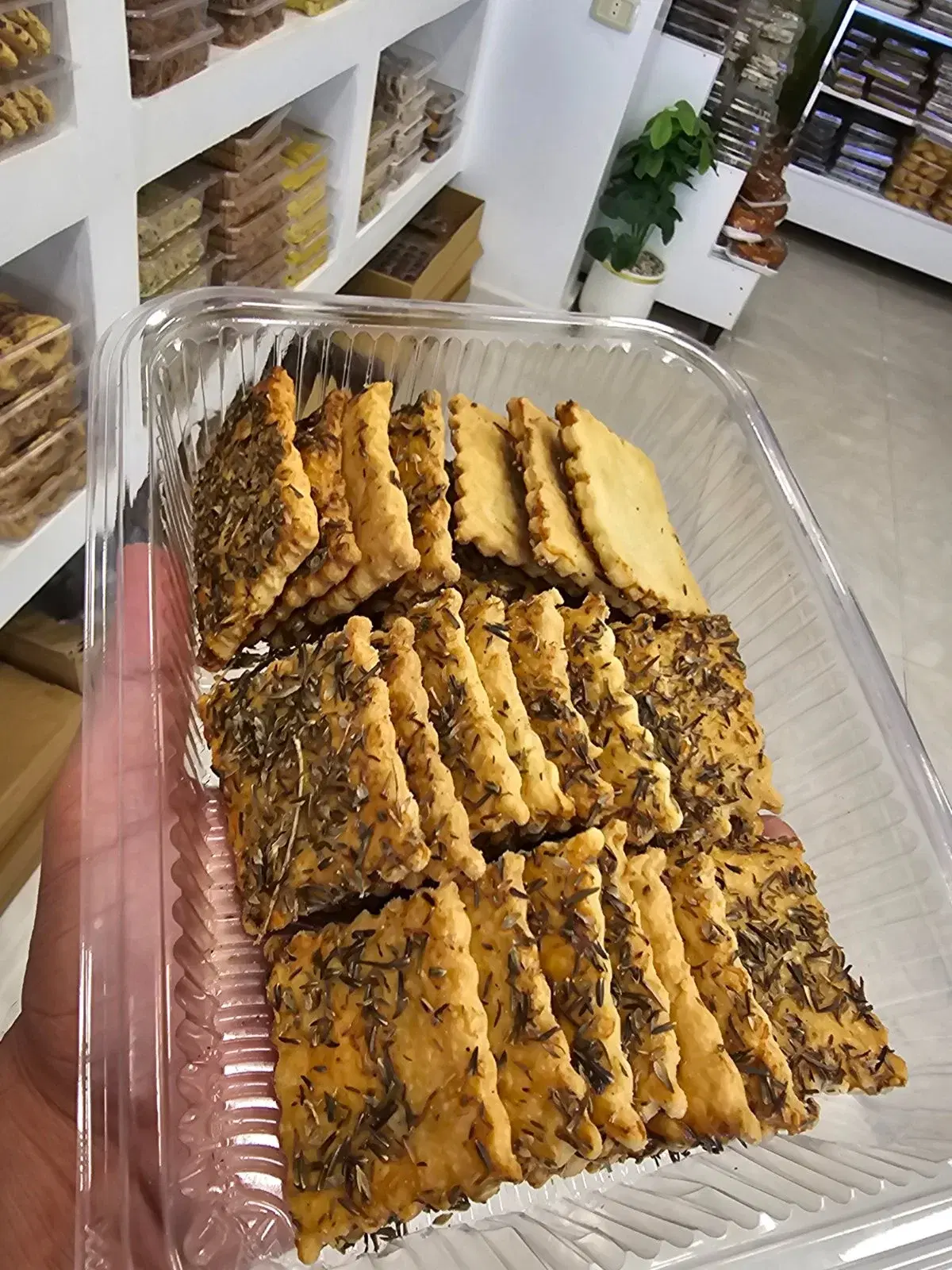 ميلحة زعتر