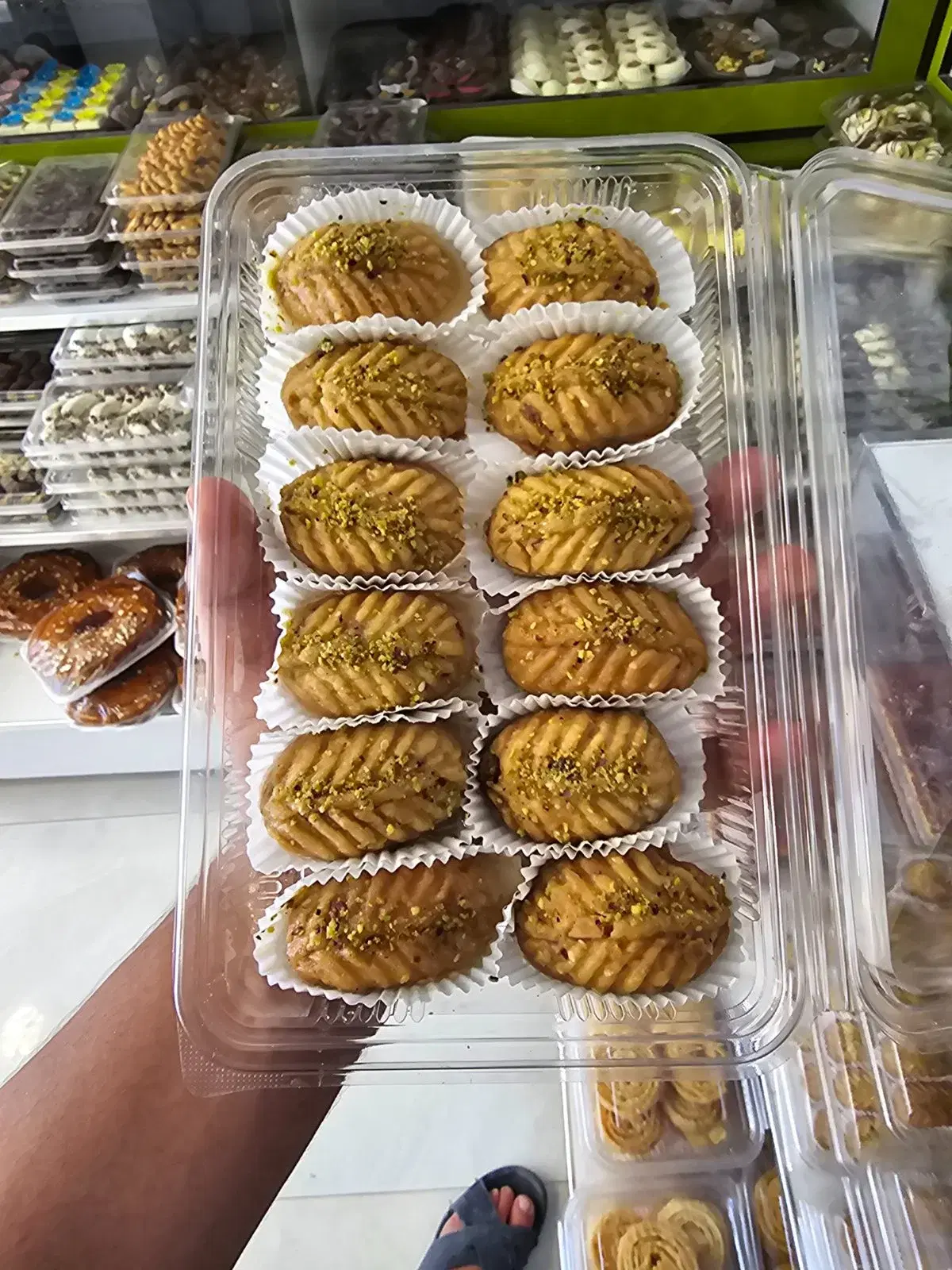 شموسة